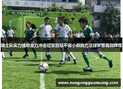 瑞士队实力强劲全力冲击冠军目标不容小觑助力足球梦想再创辉煌