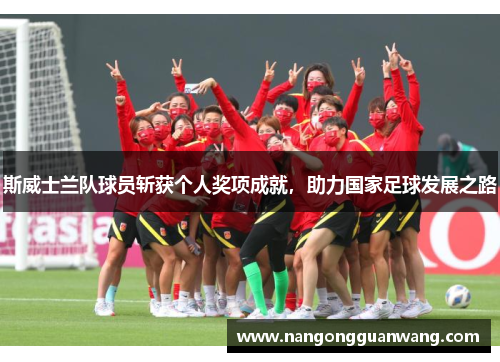 斯威士兰队球员斩获个人奖项成就，助力国家足球发展之路