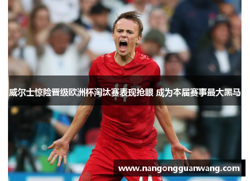 威尔士惊险晋级欧洲杯淘汰赛表现抢眼 成为本届赛事最大黑马