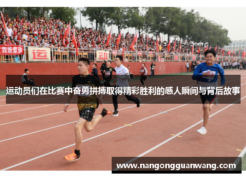 运动员们在比赛中奋勇拼搏取得精彩胜利的感人瞬间与背后故事