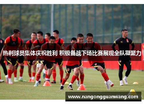 热刺球员集体庆祝胜利 积极备战下场比赛展现全队凝聚力