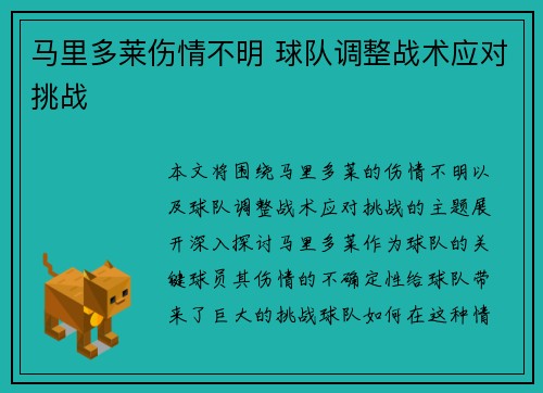 马里多莱伤情不明 球队调整战术应对挑战